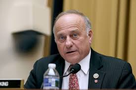 Rep. Steve King removed from committee assignments after backlash ...